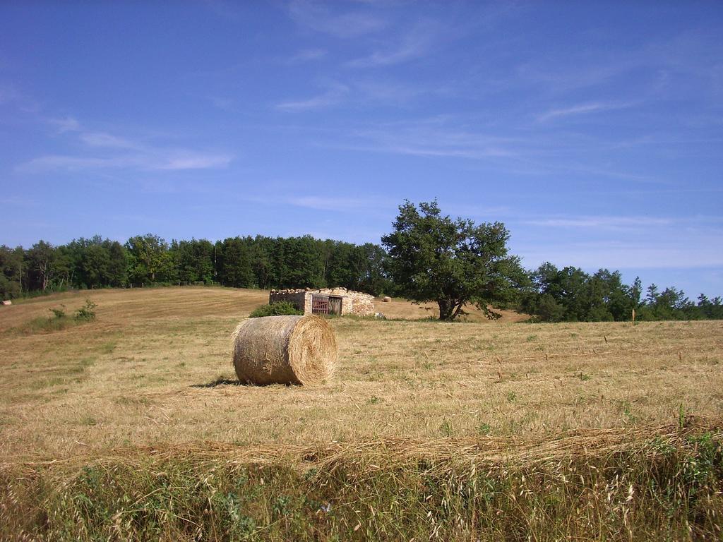 Agriturismo Bio Le Macchie Alte مانشانو المظهر الخارجي الصورة